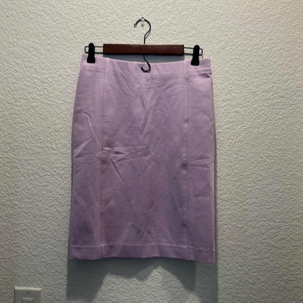 Ann Taylor Petite skirt